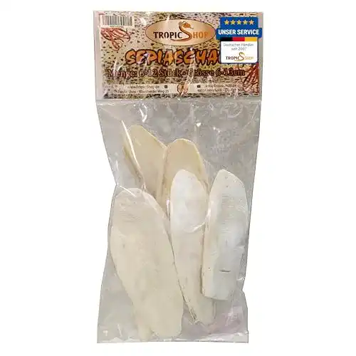 Sepiaschalen von Tropicshop – 6-12 Stück Packung