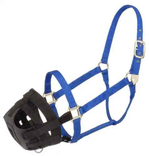 Fressbremse für Pferde Tough 1 Easy Breathe Wezing Maulkorb