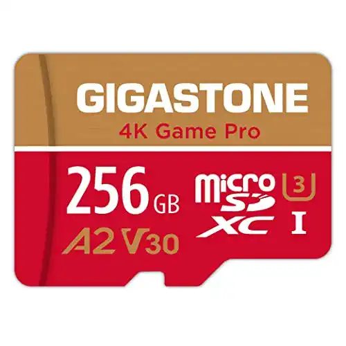 Gigastone 256GB Micro-SD-Karte mit 5 Jahren Datenwiederherstellung