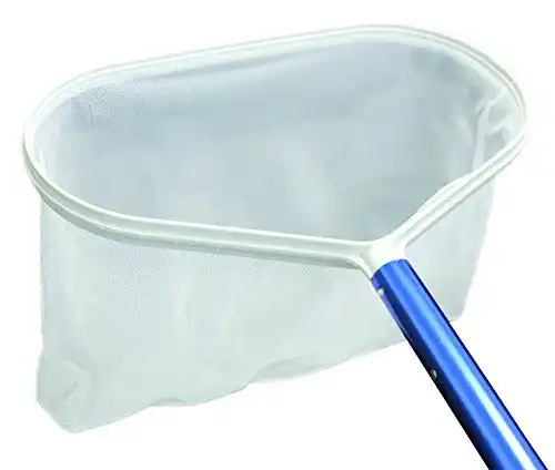 Pool Kescher von Steinbach, Bodenkescher Eco 061110 für die Reinigung