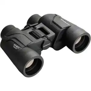 41uH9iqPgLL. SL500 