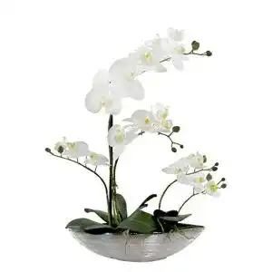 Künstliche Orchidee Daro in Schiffchen Topf Deko Kunst-Pflanze 53 cm