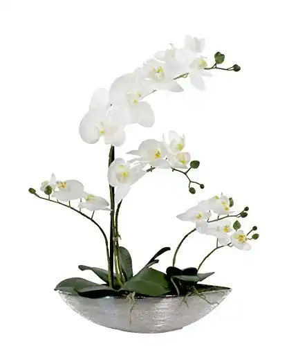Künstliche Orchidee Daro in Schiffchen Topf Deko Kunst-Pflanze 53 cm