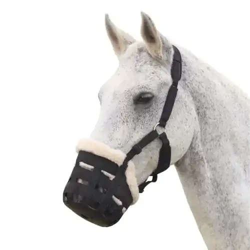 Fressbremse Pferd Shires Deluxe Weidenmaulkorb für Pferde