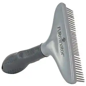 41w2WaQ2iDL. SL500 