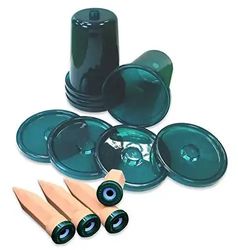 Tonkegel-Bewässerung Bio Green 4er-Set für Hochbeete