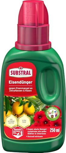 Eisendünger Substral – Flüssigdünger gegen Eisenmangel für Pflanzen