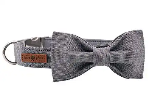 Hundehalsband Lionet Paws mit Fliege aus Baumwolle