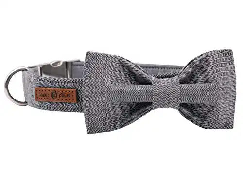 Hundehalsband Lionet Paws mit Fliege aus Baumwolle