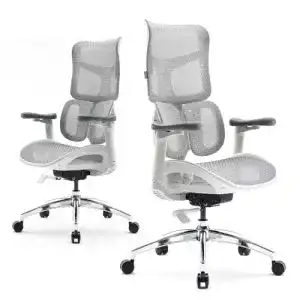 Sihoo Bürostuhl mit ergonomischer dualer Lordosenstütze und verstellbaren Armlehnen
