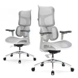 Sihoo-Bürostuhl - 41wfhvmbcaL. SL500