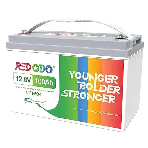Redodo 12V 100Ah LiFePO4 Solarbatterie mit 100A BMS