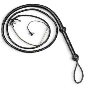 41x8G7iieOL. SL500 