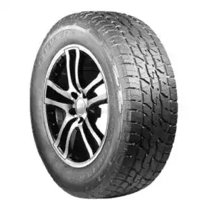 41xEnsVXqGL. SL500 