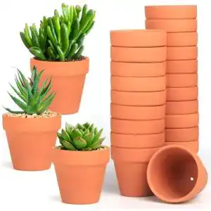 Tontöpfe Fainca, 20 Stück, klein, 4×4,5 cm, Terrakotta mit Abflussloch