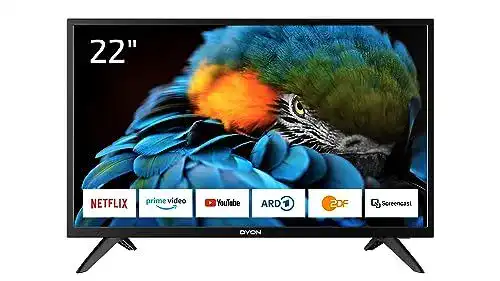 DYON Smart 22 XT-2 55 cm (22 Zoll) Fernseher