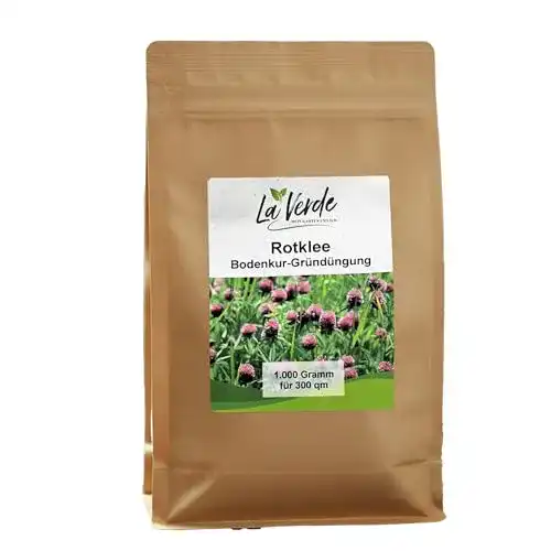 Kleesamen Rotklee 1 kg – Gründüngung und Futterpflanze