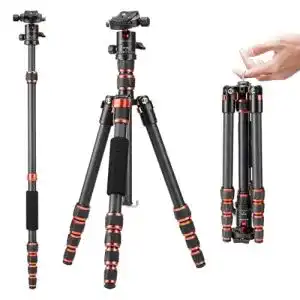 K&F Concept 152 cm Carbon Stativ mit 360° Kugelkopf und Tragetasche