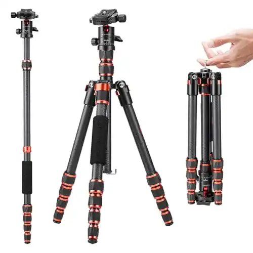 K&F Concept 152 cm Carbon Stativ mit 360° Kugelkopf und Tragetasche