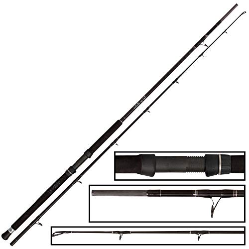 Wallerrute Black Cat Buster 3m 300-500g für das Wallerangeln