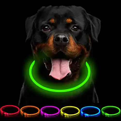 Leuchthalsband für Hunde mit LED-Technologie und USB-Aufladung