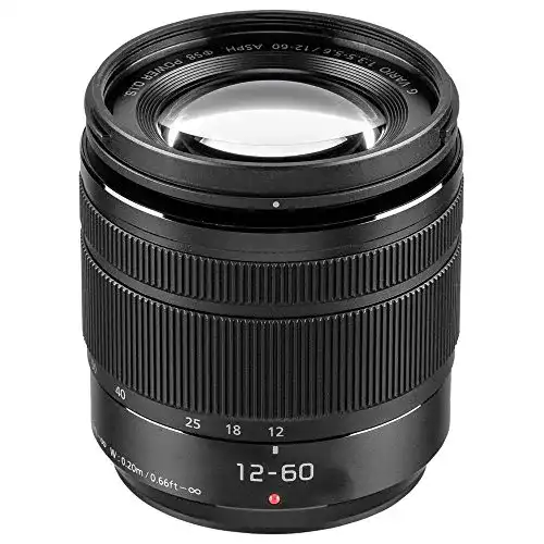 Panasonic H-FS12060E LUMIX G Vario 12-60 mm F3.5-5.6 Objektiv