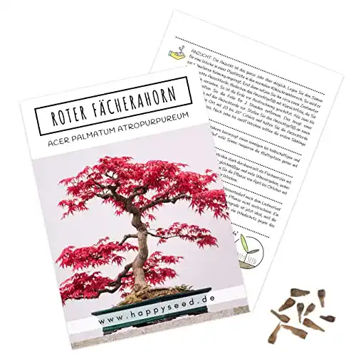 Bonsai Samen von HappySeed – Seltene Miniatur-Bäume für Sammler