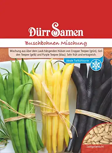 Bohnen Samen Dürr-Samen Buschbohnen Mischung Saatgut