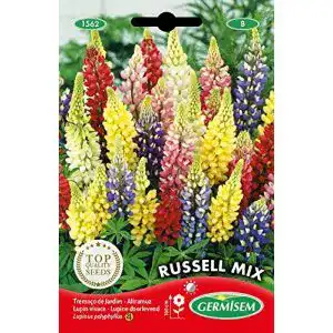 Lupinen-Samen Germisem EC1562 in verschiedenen Farben