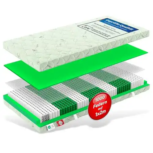 Taschenfederkernmatratze 120 x 200 cm mit 7 Zonen und Aloe Vera Bezug