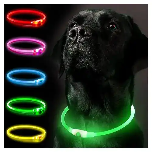 Hunde Leuchthalsband SerDa-Run für optimale Sichtbarkeit