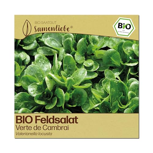Bio Feldsalat Samen alte Sorte von Samenliebe für nachhaltigen Anbau