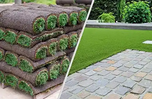 Rollrasen Rudi 30m² Echter Fertigrasen für Garten und Landschaft