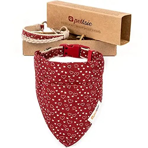 Hundehalstuch mit Halsband und Freundschaftsarmband von Pettsie