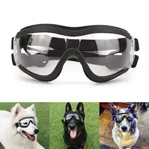 Hundebrille Petleso für große Hunde mit UV-Schutz