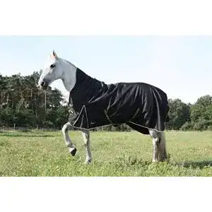 Winterdecke Pferd time4horses High Neck Thermodecke für den Kälteschutz