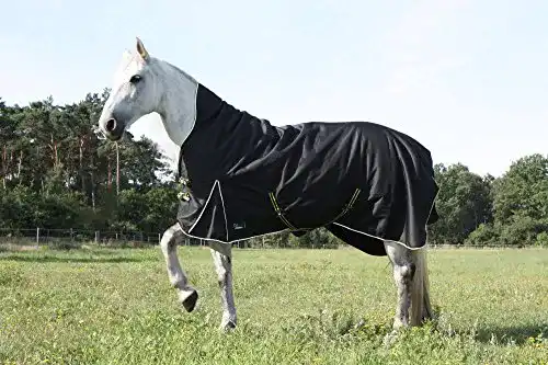 Winterdecke Pferd time4horses High Neck Thermodecke für den Kälteschutz