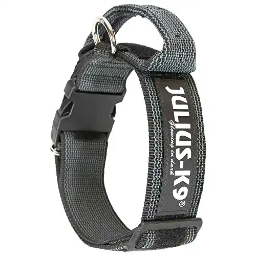 Hundehalsband Julius K-9 200HA-K-2015 in Schwarz-Grau