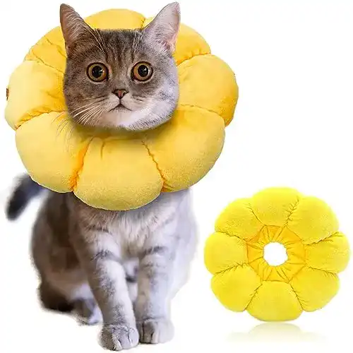 Halskrause für Katzen und kleine Hunde, verstellbares Halsband von Iospkkio