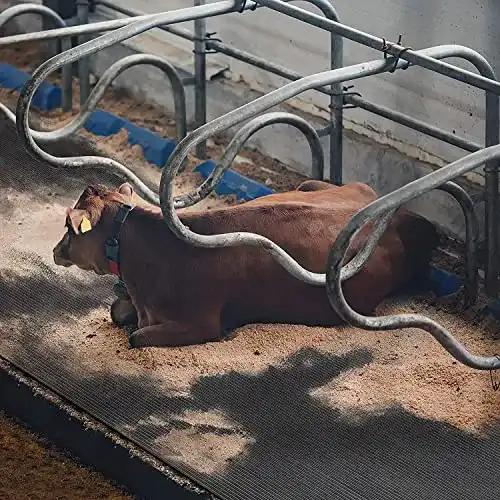 Stallmatten für Pferde aus Gummi – Floordirekt Stallmatte
