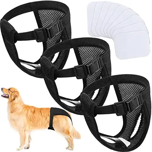 Läufigkeitshose für Hündinnen 3er Pack mit Damenbinden, waschbar