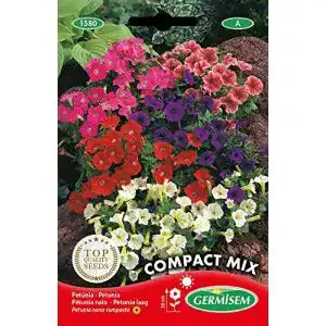 Petunien-Samen Germisem, mehrfarbig, EC1580 für die Gartenplanung