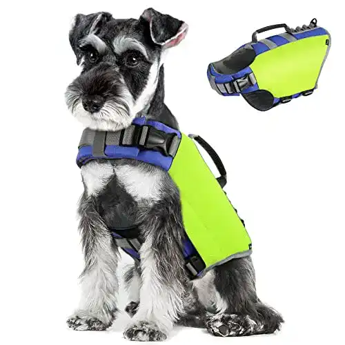 Schwimmweste für Hunde Pawaboo mit starkem Auftrieb und reflektierendem Design
