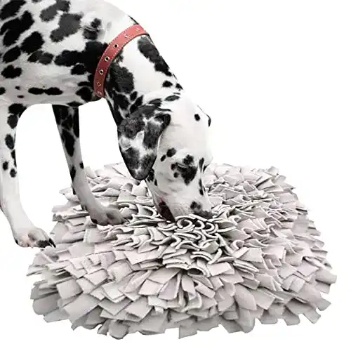 Schnüffelteppich IEUUMLER für Hunde und Katzen zur Geruchsschulung