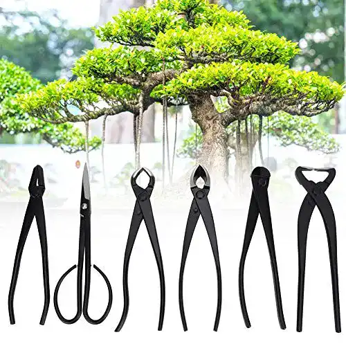 Bonsai Werkzeug Jarchii mit Gartenschere und Aufbewahrungstasche