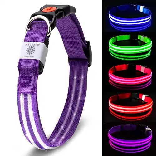 Leuchthalsband für Hunde MELERIO mit LED und USB Aufladung