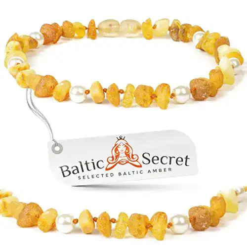 Bernstein-Halsband für Hunde von AmberForPets – Natürlicher Zeckenschutz