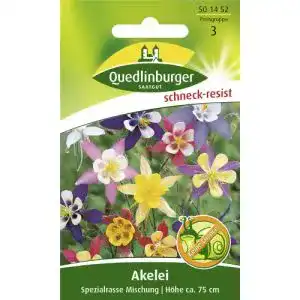 Akelei-Samen Quedlinburger Akelei Spezialrasse Mischung kaufen