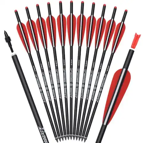 Armbrustpfeile TY Archery 12 Stück Carbon 20 Zoll für Jagd