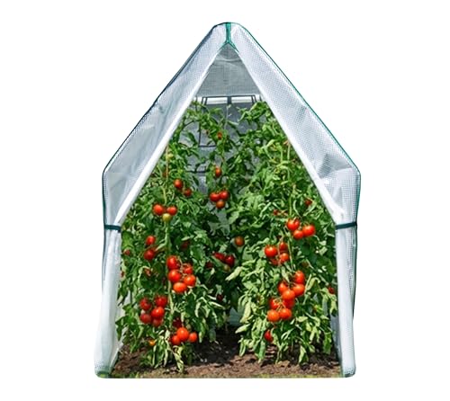 Überwinterungszelt Westmann Chili 120x120x180 cm in Weiß